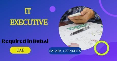 IT Executive Required in Dubai