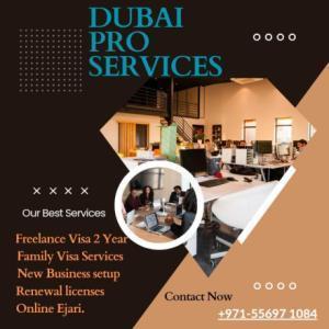 Dubai Pro Service