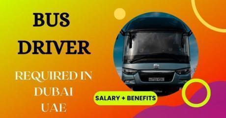 Bus Driver Required in Dubai