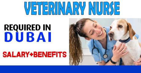 Veterinary Nurse Required in Dubai