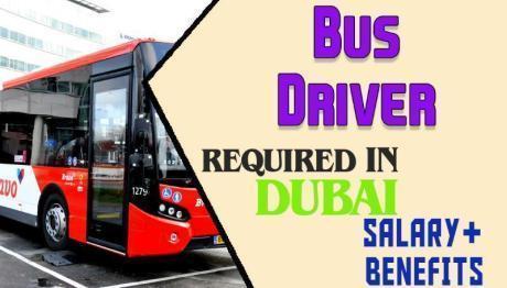Bus Driver Required in Dubai