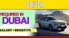 Driver Required in Dubai