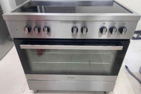 Wolf power electric ceramic cooker