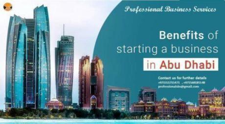 COMPANY SETUPS (ABU DHABI UAE)