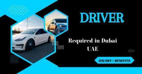 Driver Required in Dubai