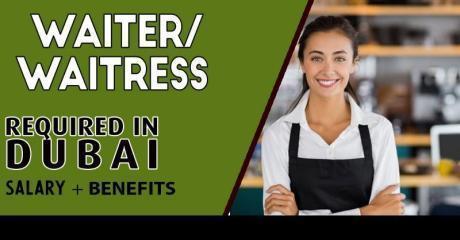 Waiter/Waitress Required in Dubai