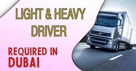 Light & Heavy Driver Required in Dubai