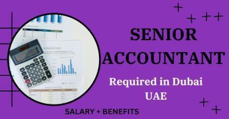 Senior Accountant Required in Dubai
