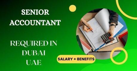 Senior Accountant Required in Dubai