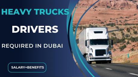 Heavy Trucks Drivers Required in Dubai -