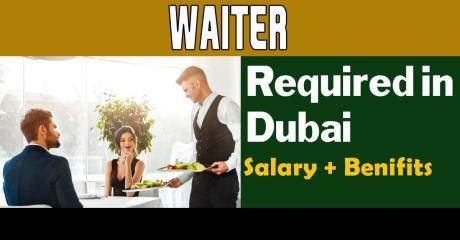 Waiter Required in Dubai