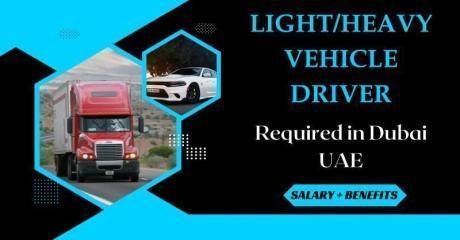 Heavy / Light Vehicle Driver Required in Dubai