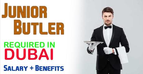 Junior Butler Required in Dubai
