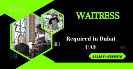 Waitress Required in Dubai