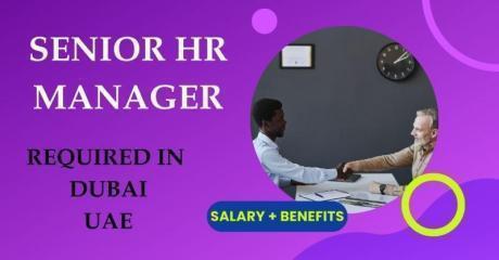 Senior HR Manager Required in Dubai