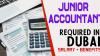 Junior Accountant Required in Dubai