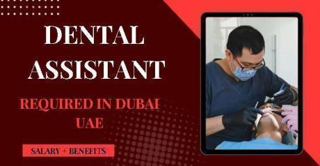 Dental Assistant Required in Dubai
