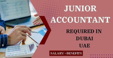 Junior Accountant Required in Dubai
