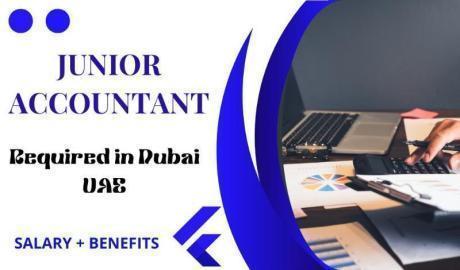 Junior Accountant Required in Dubai