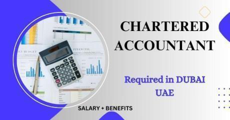 Chartered Accountant Required in Dubai