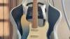 Trade Auriga Blackbird Guitar Strat