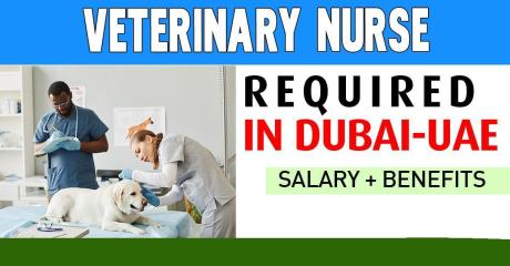 Veterinary Nurse Required in Dubai