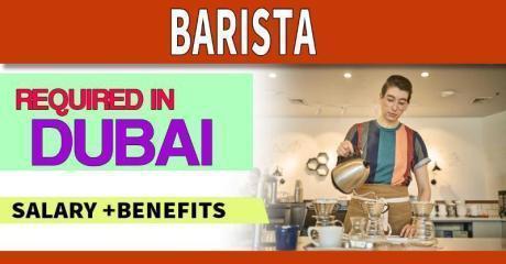 Barista Required in Dubai