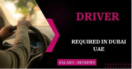Driver Required in Dubai
