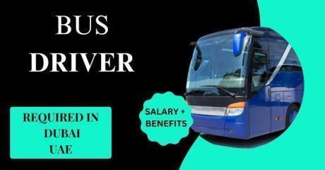 Bus Driver Required in Dubai