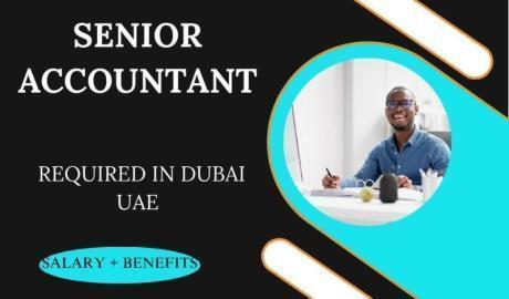 Senior Accountant Required in Dubai