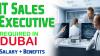 IT Sales Executive Required in Dubai