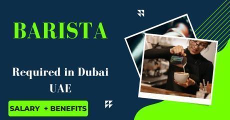 Barista Required in Dubai