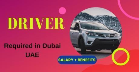DRIVER Required in Dubai