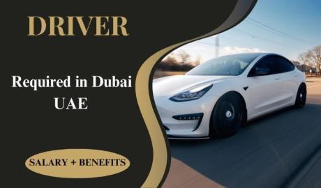 Driver Required in Dubai