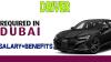 Driver Required in Dubai