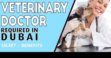 Veterinary Doctor Required in Dubai