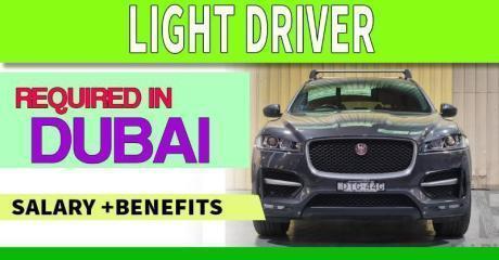 Light Driver Required in Dubai
