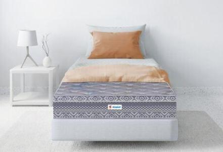 AED 855, Spine Plus: Comfort With Orthopedic Support