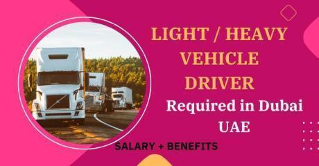 Light & Heavy Vehicle Driver Required in Dubai