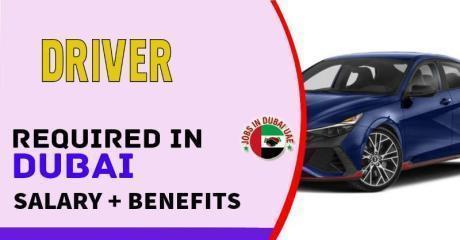 Driver Required in Dubai