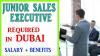 Junior Sales Executive Required in Dubai
