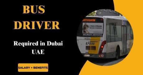 Bus Driver Required in Dubai