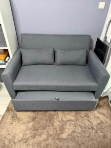 Danube Sofa bed- 1 year used