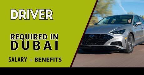 Driver Required in Dubai