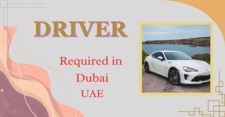 DRIVER (Light and Heavy ) Required in Dubai