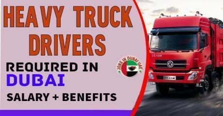 HEAVY TRUCK DRIVERS Required in Dubai
