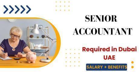 Senior Accountant Required in Dubai