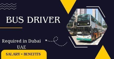 Urgent Bus Driver Required in Dubai UAE