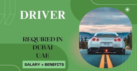 Driver Required in Dubai