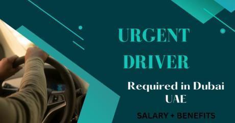 Urgent Driver Required in Dubai